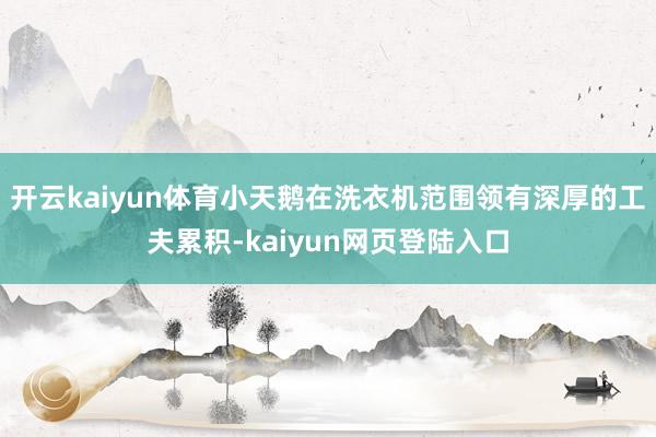 开云kaiyun体育小天鹅在洗衣机范围领有深厚的工夫累积-kaiyun网页登陆入口