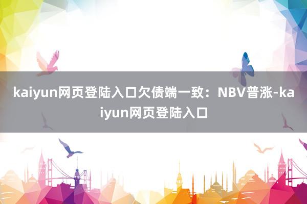 kaiyun网页登陆入口欠债端一致：NBV普涨-kaiyun网页登陆入口