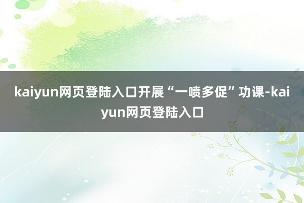 kaiyun网页登陆入口开展“一喷多促”功课-kaiyun网页登陆入口