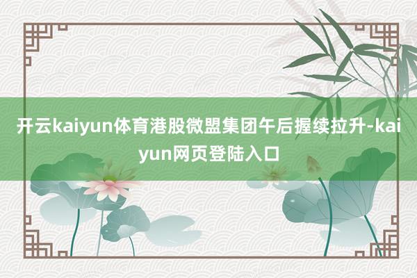 开云kaiyun体育港股微盟集团午后握续拉升-kaiyun网页登陆入口